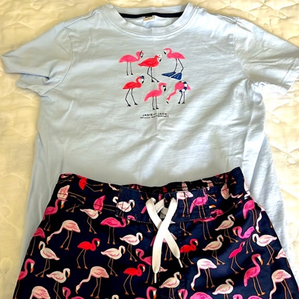 Janie and Jack Baby Boys Flamingo Swim Trunks and shirt